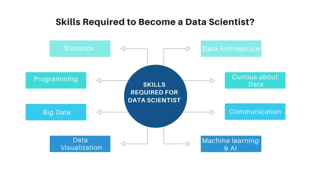 What Skills Does A Data Scientist Have