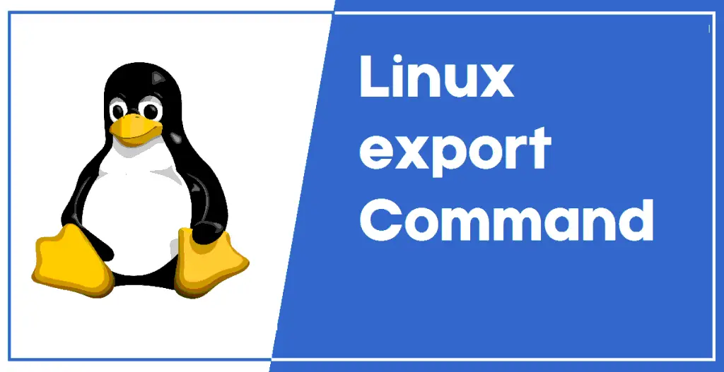 Команда PWD В Linux. Export Linux. Linux import