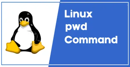 Команда pwd в linux