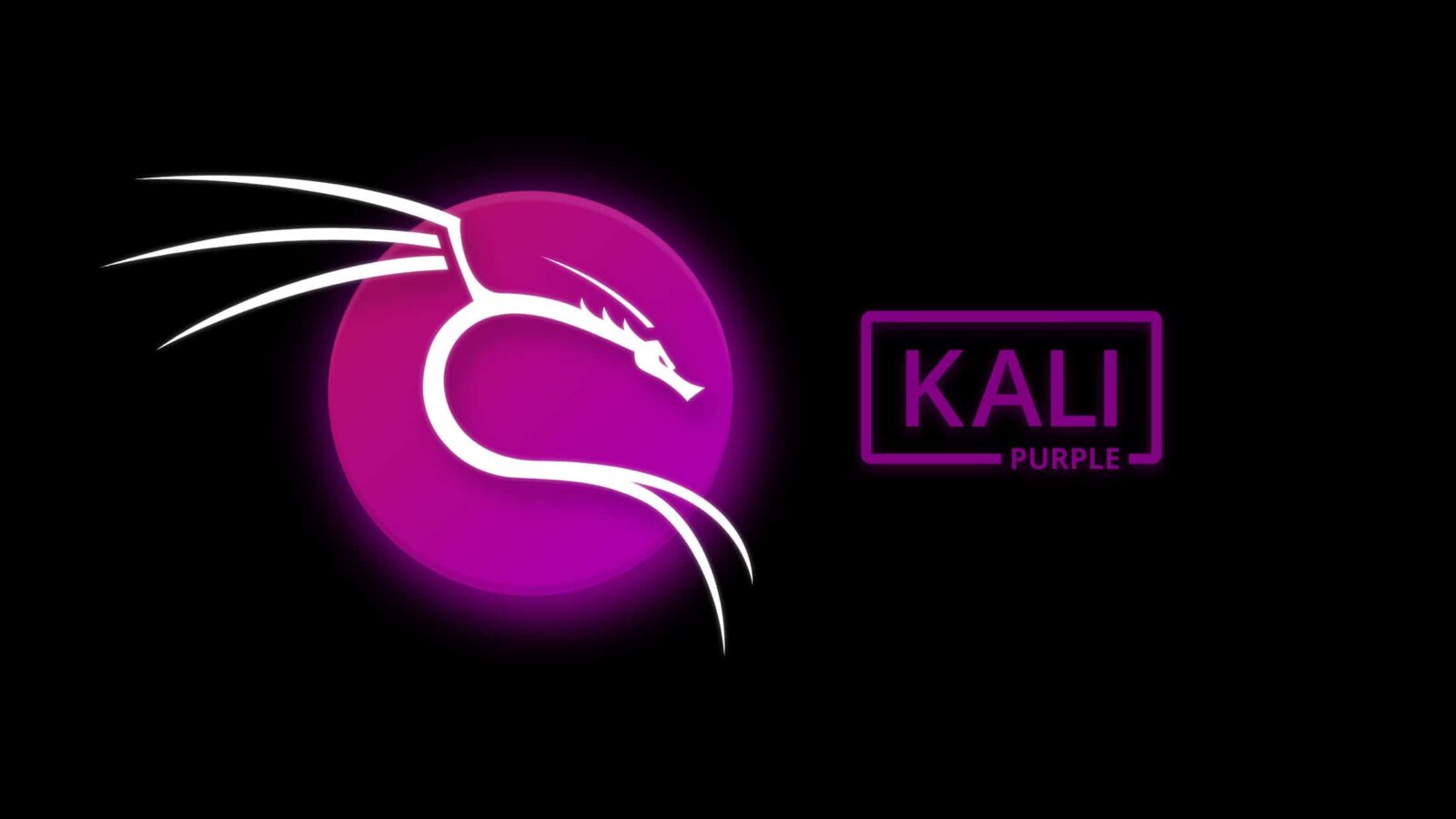 How to find IP address in Kali Linux - Linux Tutorials - Learn